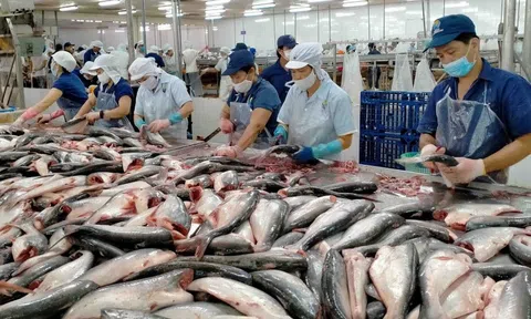 Bổ sung danh mục động vật thủy sản thuộc diện miễn kiểm dịch