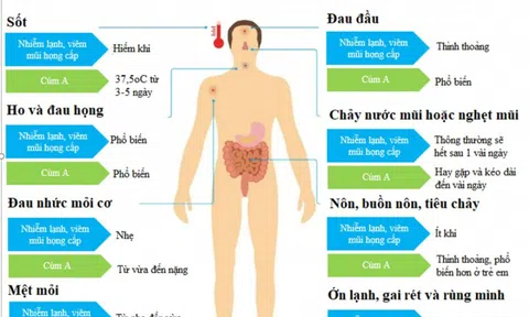 Chuyên gia chỉ cách phân biệt cúm A và viêm mũi họng cấp