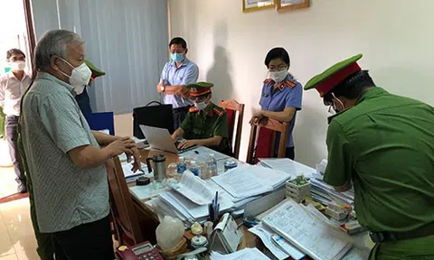 Bình Thuận: Đề nghị xử lý những người liên quan đến vụ phá rừng