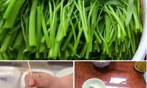 Cách nấu canh tôm rau muống thơm ngon, dễ làm