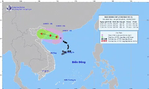 Nhiều chuyến bay bị hủy do ảnh hưởng của bão số 2