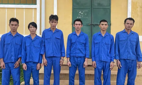 Tạm giam 7 đối tượng gây ra hàng loạt vụ trộm cắp “tiểu hổ”