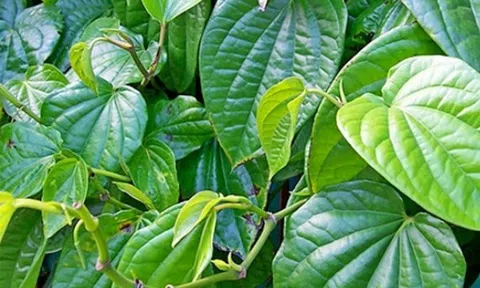 Da mặt loang lổ như pháo hoa vì đắp "thần dược" trị nám, trắng da