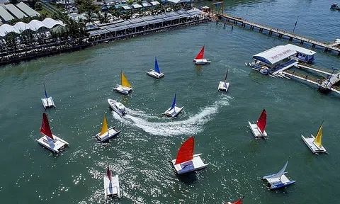 BR-VT chỉ đạo xử lý các sai phạm tại Bến thuyền Vũng Tàu Marina