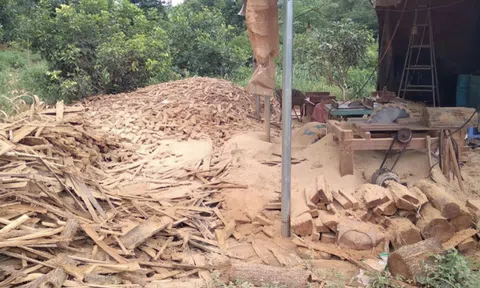 Gia Lai: Phát hiện xưởng gỗ lậu tại khu vực biên giới