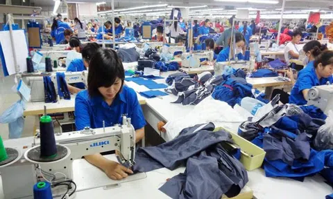 Minh bạch thị trường lao động nhằm hạn chế mất cân đối cung-cầu cục bộ