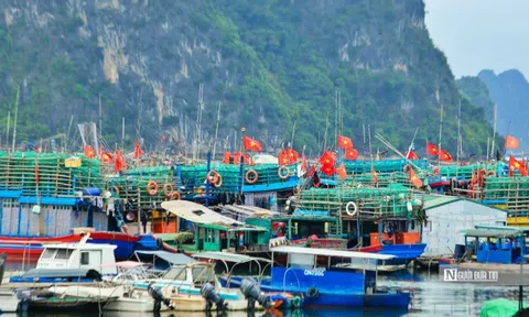 Tích hợp các chính sách hỗ trợ ngư dân khắc phục rủi ro do thiên tai