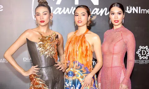 Vụ người mẫu Hà Anh mặc phản cảm: BTC Hoa hậu Hoàn vũ Việt Nam nói gì?