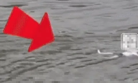 Trượt chân ngã xuống sông, bé trai 9 tuổi tự cứu chính mình nhờ hành động thông minh