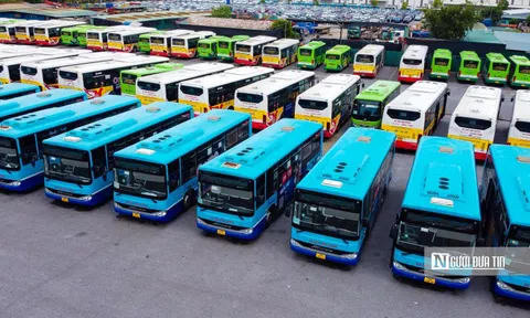 Giá cước vận tải đã chịu "rục rịch"