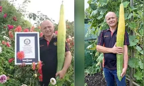 Choáng váng trước quả dưa chuột “siêu to khổng lồ” dài hơn 1,1m