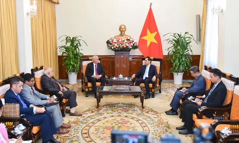Thắt chặt quan hệ chính trị đặc biệt, hợp tác toàn diện Việt Nam-Cuba