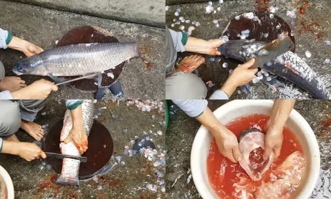 Cách làm cá kho riềng thơm ngon đến miếng cuối cùng