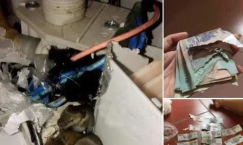 Lén giấu quỹ đen sau lưng vợ, anh chồng "tá hỏa" vì sự cố không ngờ