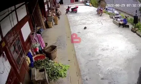 Hòn đá khổng lồ lăn từ núi xuống phá hỏng ngôi nhà, cụ bà thoát chết trong gang tấc