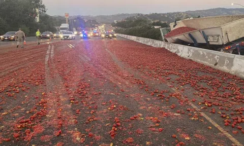 Xe tải lật nghiêng khiến hơn 150.000 quả cà chua rơi xuống, "nhuộm đỏ" một khoảng đường cao tốc
