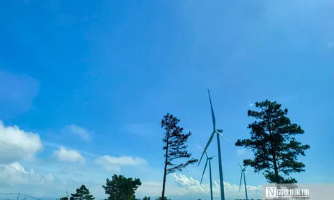 Lâm Đồng: Phê duyệt 2 dự án điện gió với tổng vốn đầu tư gần 4.400 tỷ đồng