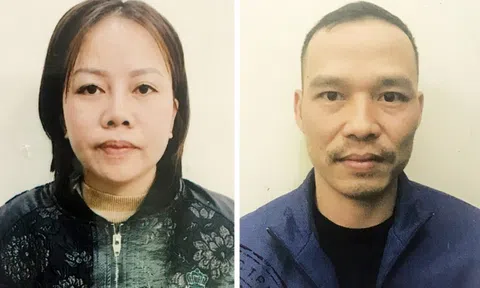 Triệt phá đường dây mang thai hộ tại Hà Nội: Thủ đoạn của "nữ quái" 35 tuổi"