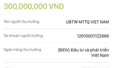 Hòa Minzy chuyển khoản 300 triệu đồng ủng hộ bà con miền Trung