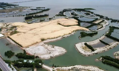 Bình Định chỉ thị "nóng" liên quan đến chủ đầu tư Thị Nại Eco Bay