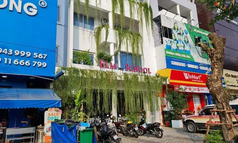 Vụ giáo viên tự nhận bỏ đói, thô bạo với trẻ mầm non: Tạm đình chỉ nhóm trẻ Elm School