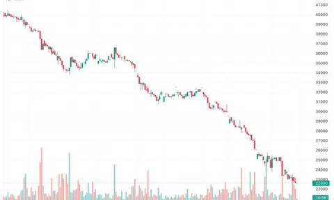 Long Hậu sẽ làm gì để cổ phiếu LHG sớm thoát diện kiểm soát?