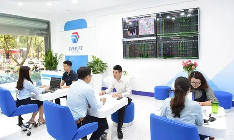 Hậu xử phạt vì liên quan trái phiếu Tân Hoàng Minh, Chứng khoán Everest tiếp tục bị "réo tên"