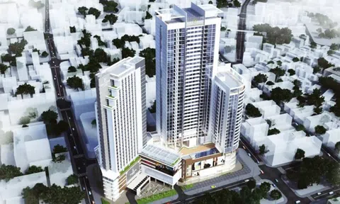 Nhóm chủ Alphanam mang hàng trăm triệu cổ phiếu đi thế chấp vay nợ