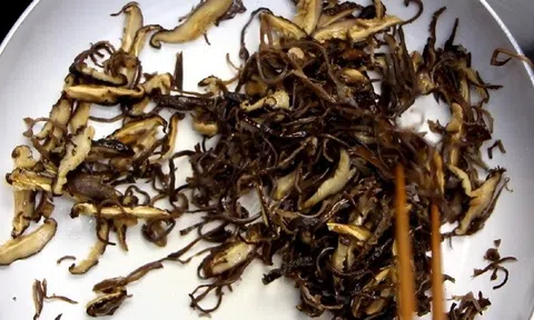 Bí quyết làm món đậu phụ cuốn lá lốt chay thơm nức, ngon như nhà hàng