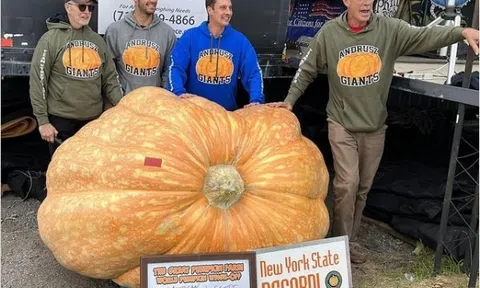 Tròn mắt ngắm nhìn quả bí ngô “siêu to khổng lồ”, nghe cân nặng mà choáng váng