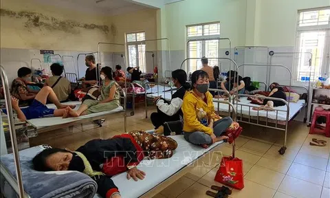 Sốt xuất huyết tăng nóng, riêng Tp.HCM cao gấp 7 lần so với 2021