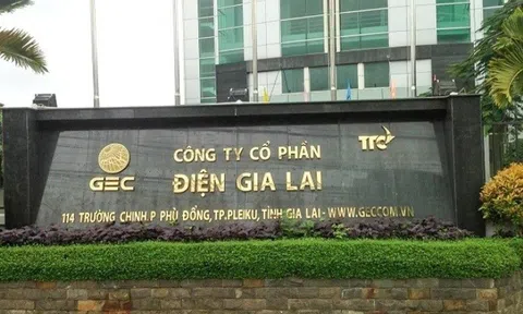 Xử phạt Điện Gia Lai vì vi phạm hành chính thuế