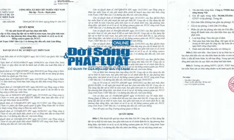 Đấu thầu tại ban QLDA Điện lực Miền Nam – Bài 1: Dấu hỏi về năng lực tài chính của công ty Năng Lượng Việt