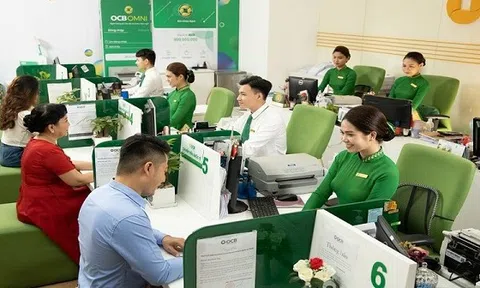 OCB nhận hơn 2.000 lô đất của Công ty Đại Nam và bà Phương Hằng để thay thế nghĩa vụ trả nợ