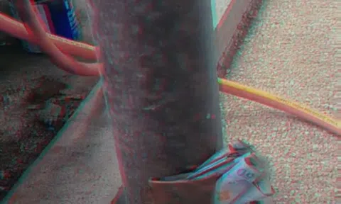 Người bố lâm bệnh tiết lộ chỗ cất giữ tiền bấy lâu khiến cả gia đình bất ngờ