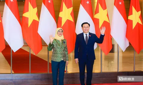 Việt Nam - Singapore có thể mở rộng nội dung đào tạo cho đại biểu Quốc hội