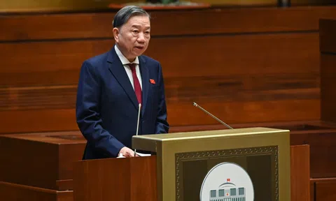 Đấu giá biển số đẹp: Đề xuất giá khởi điểm 40 triệu đồng