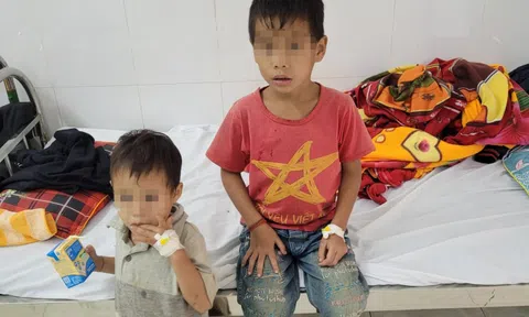Vụ 3 bố con ở Nghệ An ngộ độc do ăn trứng cóc: Hai bệnh nhân đã ổn định