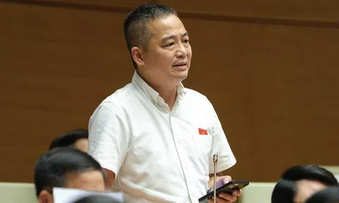 ĐBQH Nguyễn Lân Hiếu: Cần tuyên bố kết thúc đại dịch Covid-19