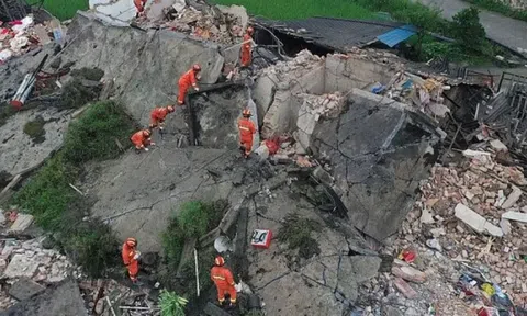 Chú lợn kiên cường sống sót sau 45 ngày dưới ngôi nhà sập do động đất