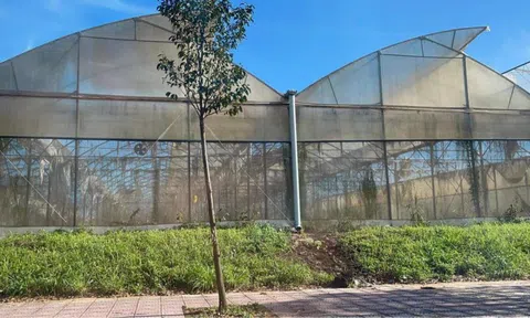 Bắt giam nguyên Phó Giám đốc Sở KH&CN tỉnh Đồng Nai