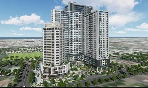 Phó Tổng Giám đốc vừa bị bắt, Nhà Đà Nẵng nói gì?