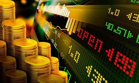 Dùng 54 tài khoản thao túng cổ phiếu TNI, một cá nhân bị phạt 550 triệu đồng