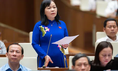 Giáo viên rời công sang tư: Bình thường hay không bình thường?