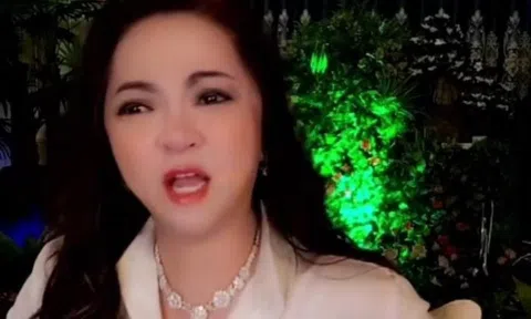 Vì sao vụ án bà Nguyễn Phương Hằng kiện ông Nguyễn Đức Hiển bị đình chỉ?