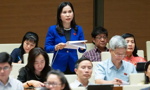 ĐBQH: Mâu thuẫn, thách đố nhau trên mạng dẫn đến ẩu đả ngoài đời thực