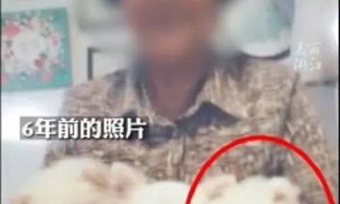 Người đàn ông ngỡ ngàng khi chó cưng bất ngờ trở về sau 6 năm mất tích