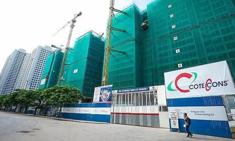 Đại gia ngành xây dựng báo lỗ vì đầu tư cổ phiếu