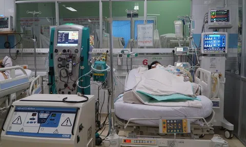 Bệnh nhân sốt xuất huyết phải trả hàng trăm triệu đồng viện phí vì không có BHYT