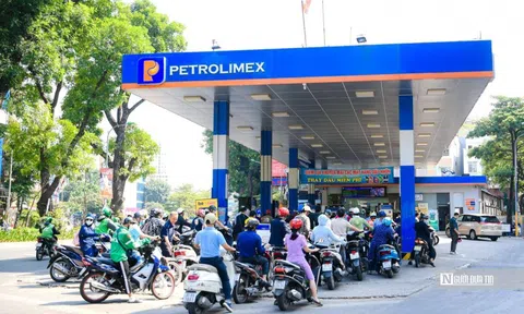 Thủ tướng yêu cầu khắc phục tình trạng thiếu xăng, dầu từ hôm nay 12/11
